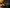 Why Does Coffee Make You Tired